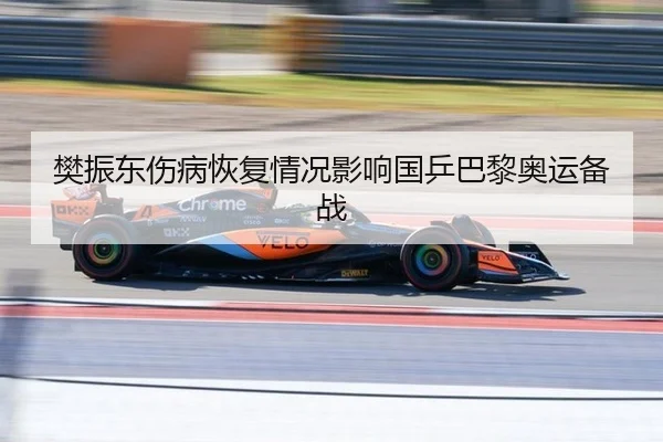fan-zhen-dong-shang-bing-hui-fu-qing-kuang-ying-xiang-guo-ping-ba-li-ao-yun-bei-zhan-2-343.jpg