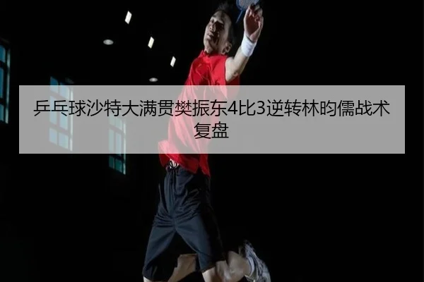 ping-pang-qiu-sha-te-da-man-guan-fan-zhen-dong-bi-ni-zhuan-lin-yun-ru-zhan-shu-fu-pan-2-543.jpg