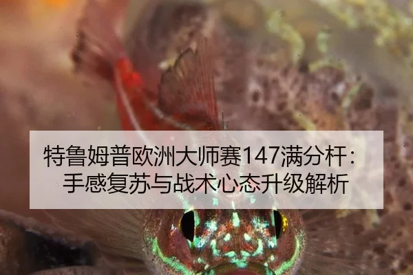 te-lu-mu-pu-ou-zhou-da-shi-sai-man-fen-gan-shou-gan-fu-su-yu-zhan-shu-xin-tai-sheng-ji-jie-xi-1-451.jpg